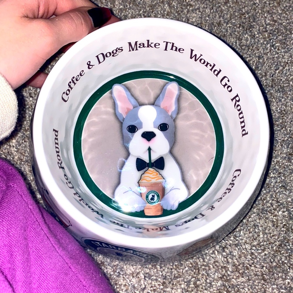 FRENCH BULLDOG STARBUCKS WATER BOWL